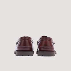 Coraux/Raid Marron - Lis America