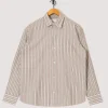 Freddy Shirt 5973 - Brown Stripe