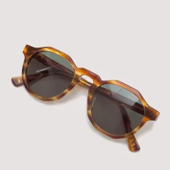 Pinto - Havana/Olive